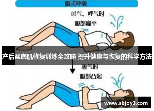 产后盆底肌修复训练全攻略 提升健康与恢复的科学方法